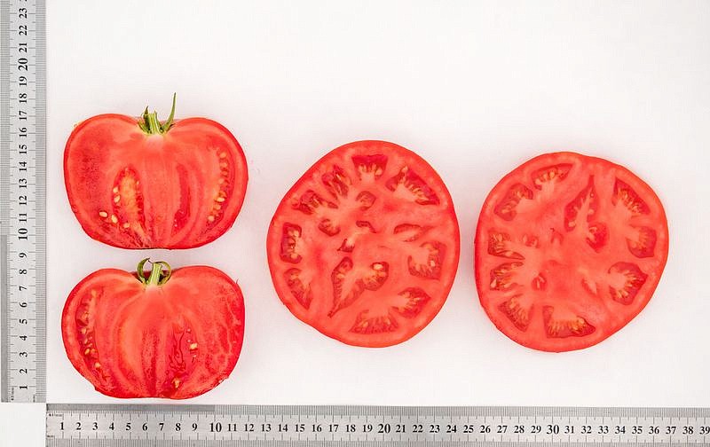 Партнер Томат ДЕРЕВЕНСКИЙ F1 ^(10шт) 2-ной пак, изображение 4