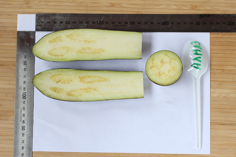 Партнер Баклажан АЛМАЗ ^(0,5г), изображение 6