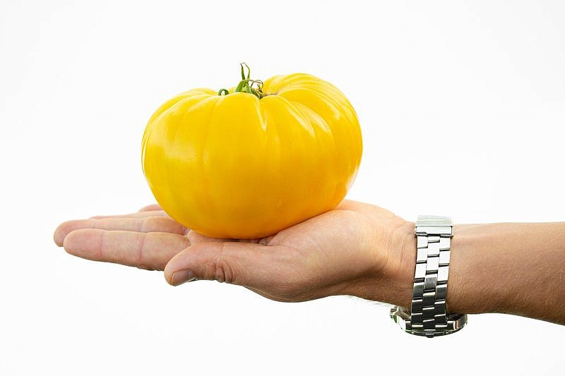 Партнер Томат ПРЕЛЕСТЬ РОУЗЫ ^(10шт) 2-ной пак, изображение 2