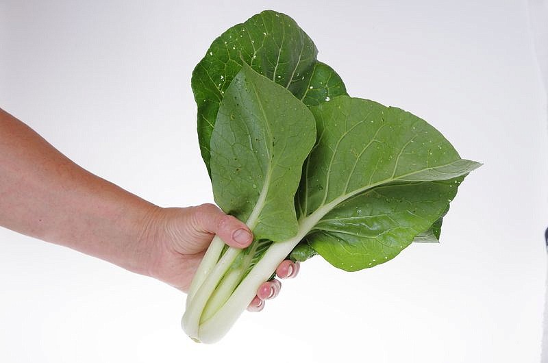 Партнер Капуста китайская ПАК-ЧОЙ ^(0,5г), изображение 3