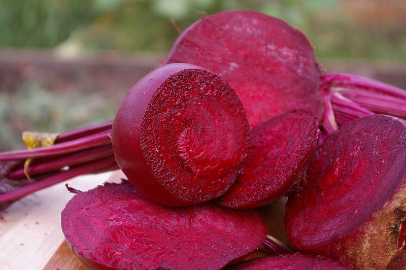 Партнер Свекла столовая КЕСТРЕЛ F1 ^(1г), изображение 4