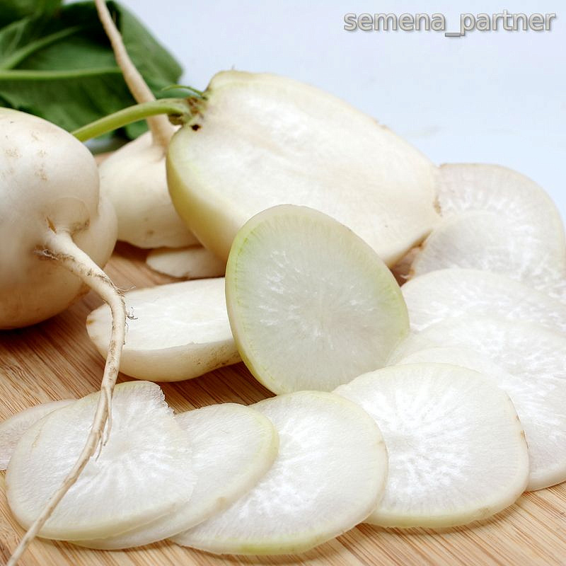 Партнер Дайкон САША ^(1г), изображение 2