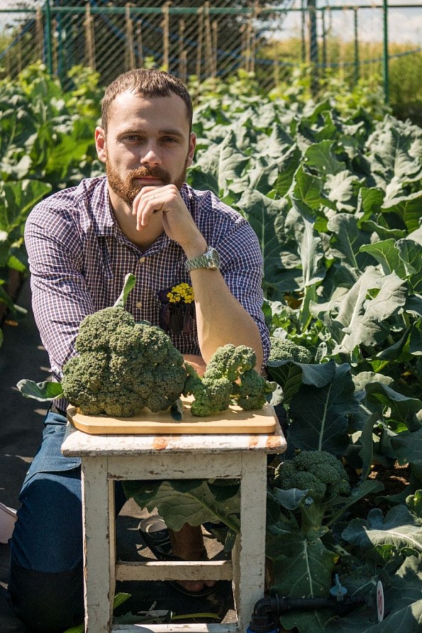 Партнер Капуста брокколи ГРИН МЭДЖИК F1 ^(10шт в амп), изображение 1