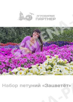 Набор петуний "Зацветёт" от Марины Патриной фото 1