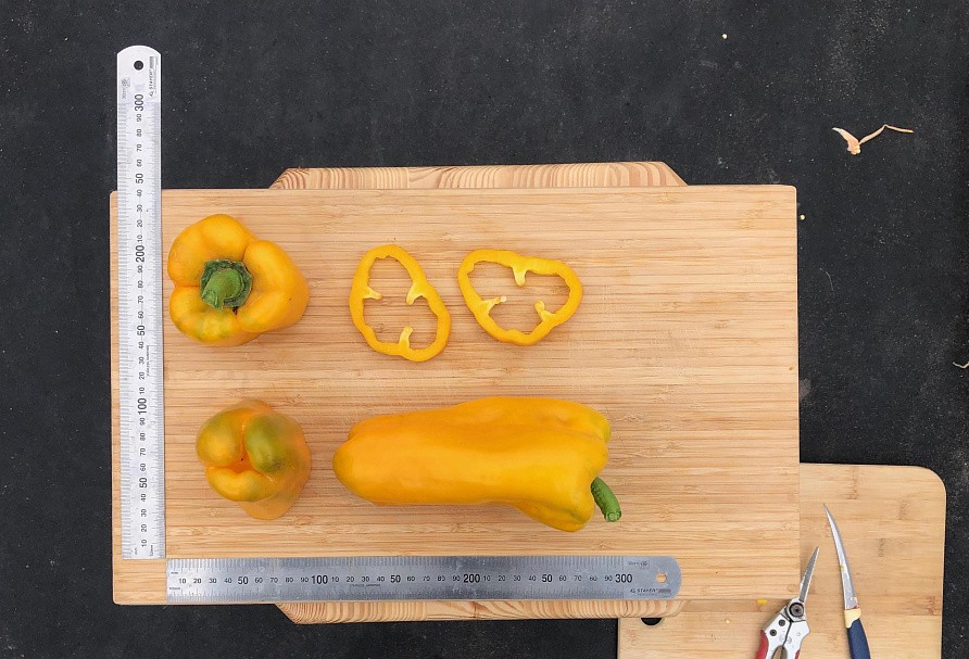 Партнер Перец ДЖЕМИНИ F1 ^(5шт) 2-ной пак, изображение 3