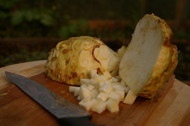 Партнер Сельдерей корневой АЛБИН ^(0,3г), изображение 4