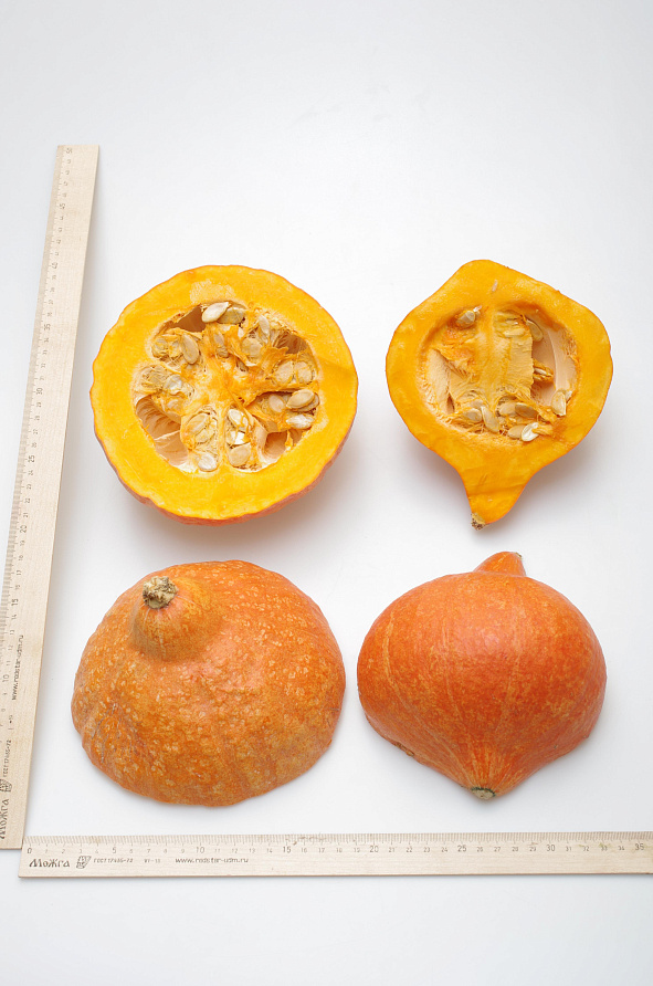 Партнер Тыква ОРАНЖ САММЕР F1 ^(3шт), изображение 3