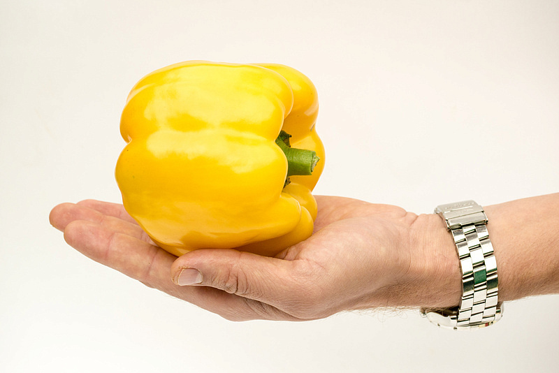 Партнер Перец ТАВИНЬЯНО F1 ^(5шт) 2-ной пак, изображение 4