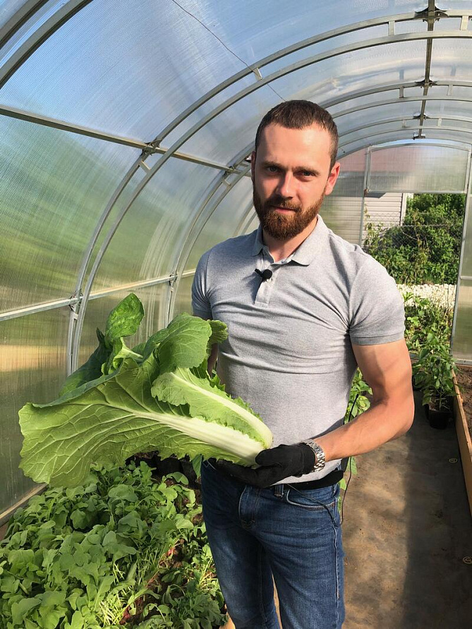 Партнер Капуста Пекинская ГИДРА F1 ^(0,5г), изображение 6