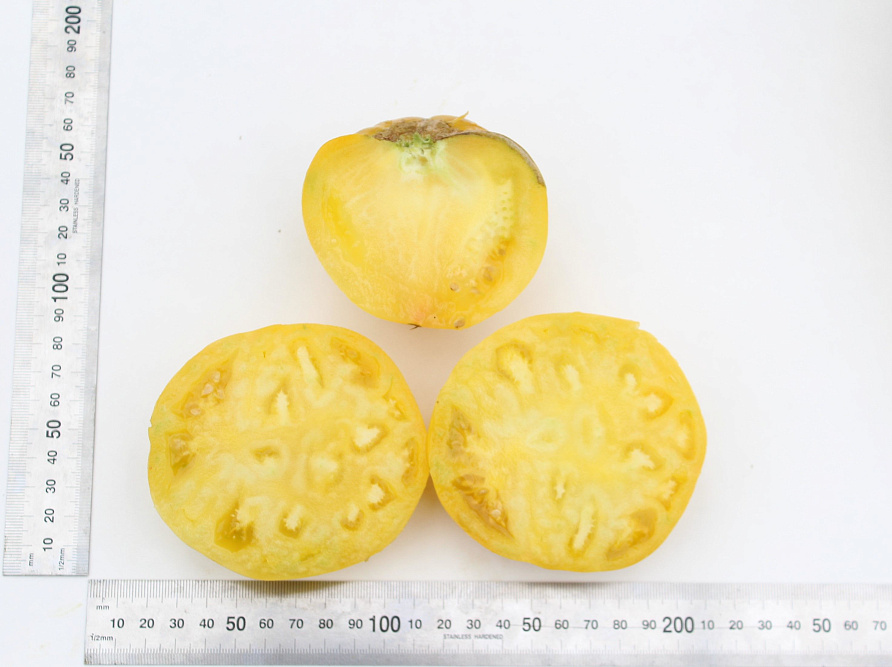 Партнер Томат КРЕМ ТОРТ ^(0,05г) 2-ной пак, изображение 3