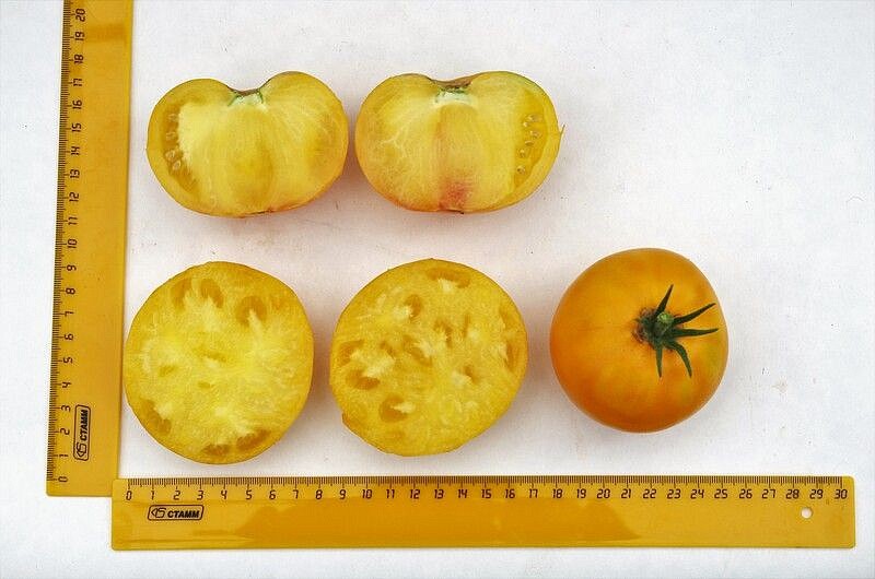 Партнер Томат АЗОЮШКА ^(10шт) 2-ной пак, изображение 1