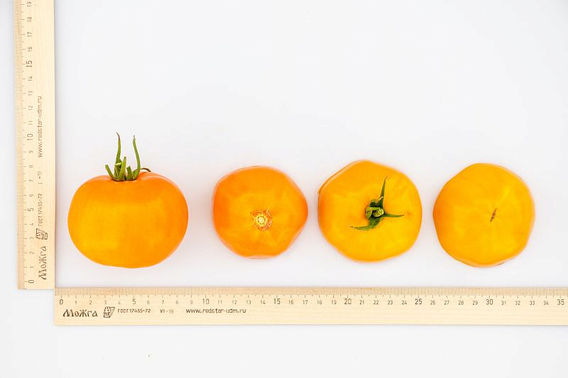 Партнер Томат ЗОЛОТОЙ ОРФЕЙ ^(0,05г) 2-ной пак, изображение 5