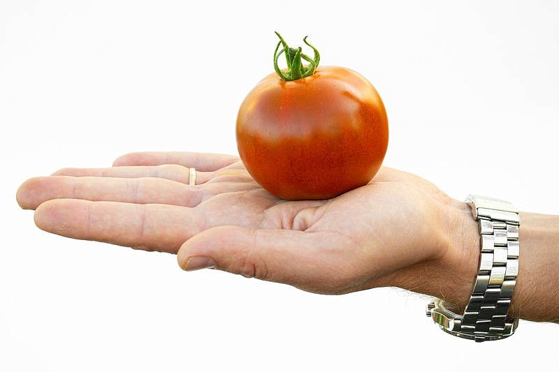 Партнер Томат КАРЕН F1 ^(5шт) 2-ной пак, изображение 1