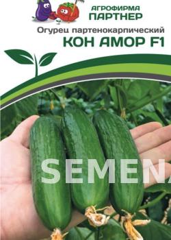 Партнер Огурец КОН АМОР F1 ^(5шт) фото 4
