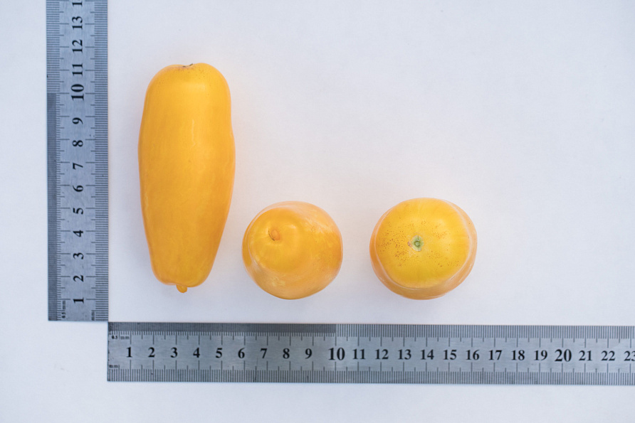 Партнер Томат БАНАНОВЫЕ НОГИ ^(10шт), изображение 4