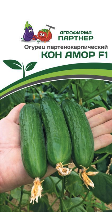 Партнер Огурец КОН АМОР F1 ^(5шт), изображение 4