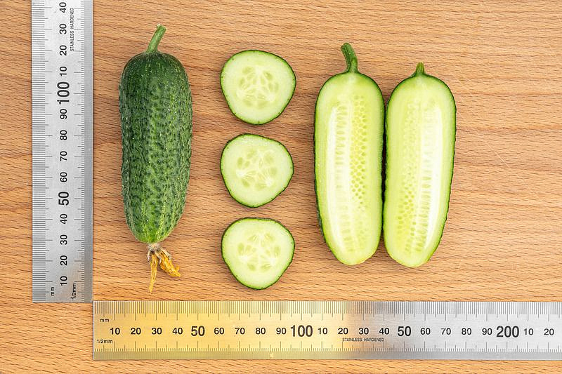 Партнер Огурец ХОББИТ F1 ^(10шт), изображение 6