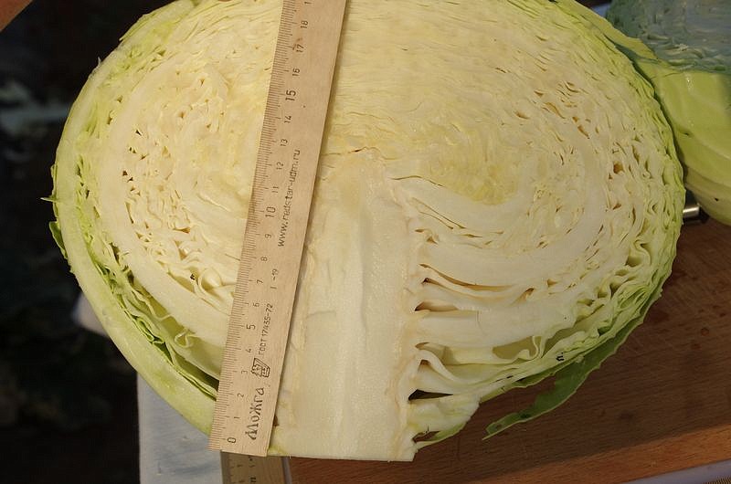 Партнер Капуста б/к ОРИОН F1 ^(0,2г в амп), изображение 4