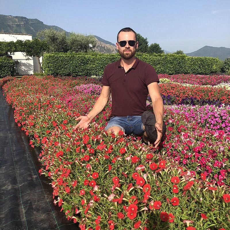 Партнер Петуния серия "Лагуна" БЕАТРИС F1 / многоцветковая каскадно-ампельная^(5шт в амп), изображение 6