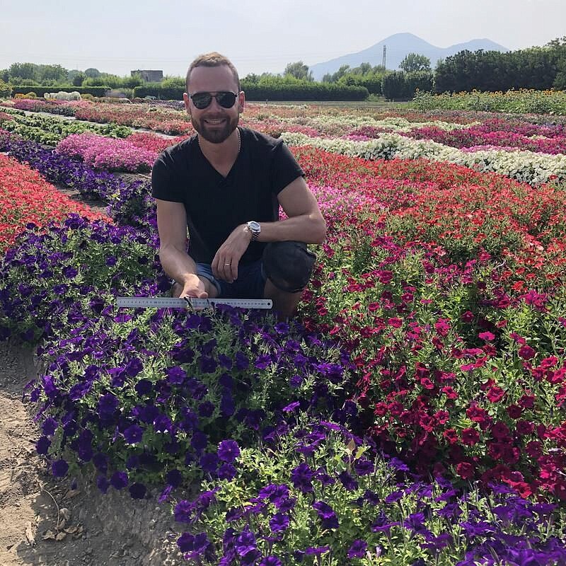 Партнер Петуния серия "Мими" СИЛЬВАНА F1 / многоцветковая каскадная^(5шт в амп), изображение 4