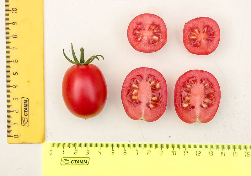 Партнер Томат ЧЕРРИ ЗЕМЛЕДЕЛЕЦ F1 ^(0,05г) 2-ной пак, изображение 3