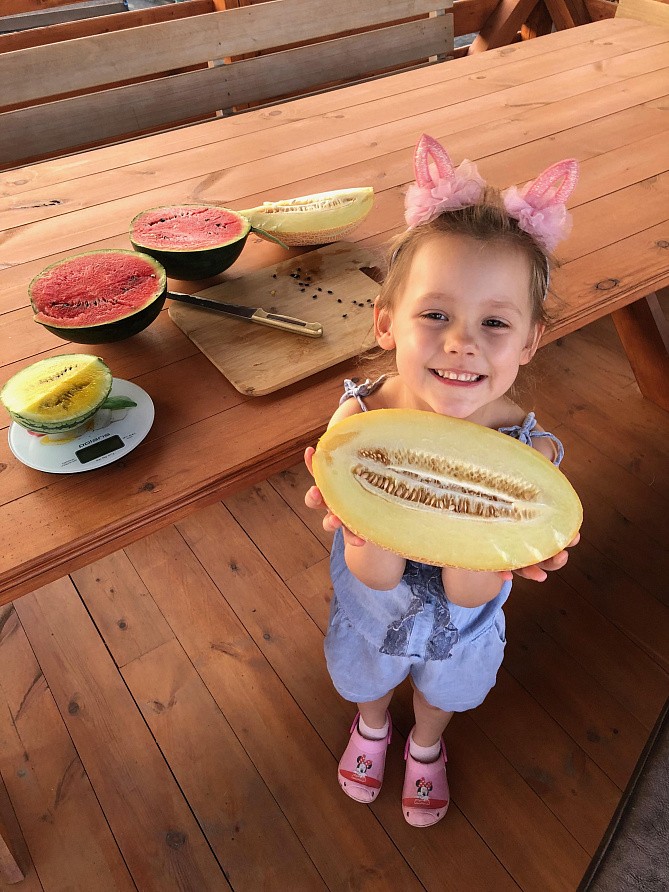 Партнер Дыня БАГИРА F1 ^(5шт) 2-ной пак, изображение 1