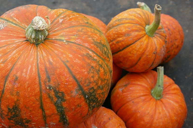 Партнер Тыква КОНФЕТКА ^(5шт), изображение 6