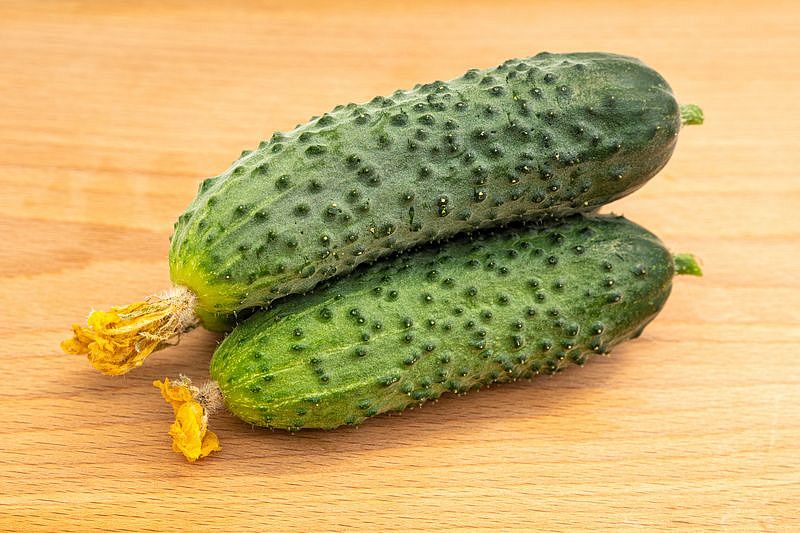 Партнер Огурец ГЕРМАН F1 ^(5шт), изображение 5