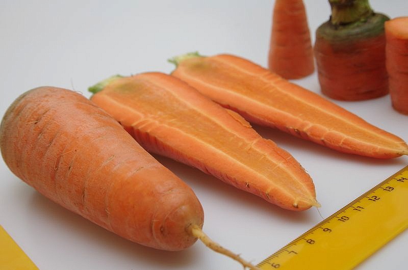 Партнер Морковь РЕД КОР ^(1г), изображение 6