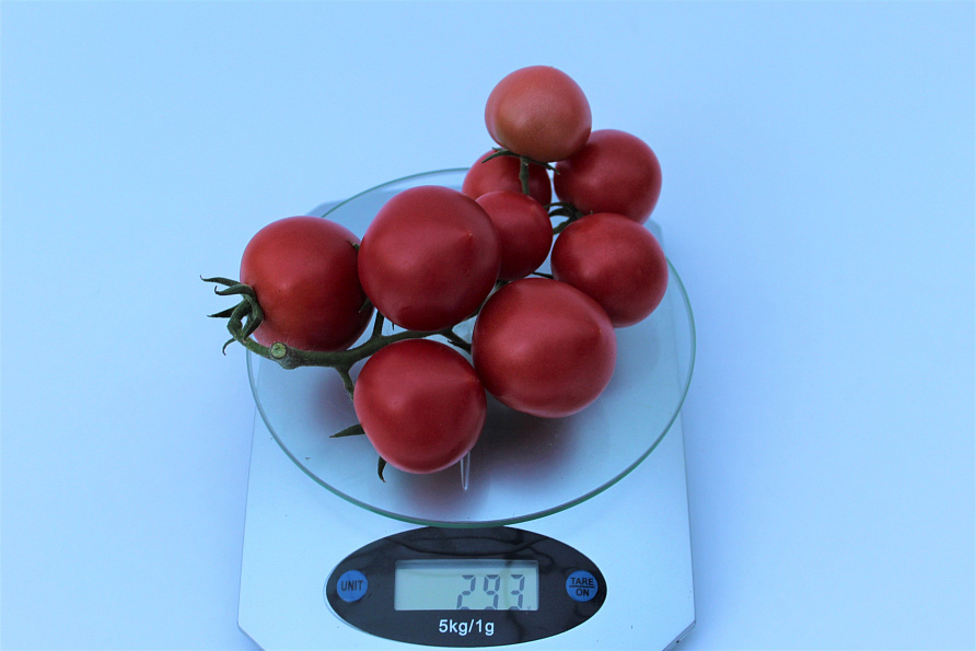 Партнер Томат МАЛИНОВЫЙ КОКТЕЙЛЬ F1 ^(5шт) 2-ной пак, изображение 2