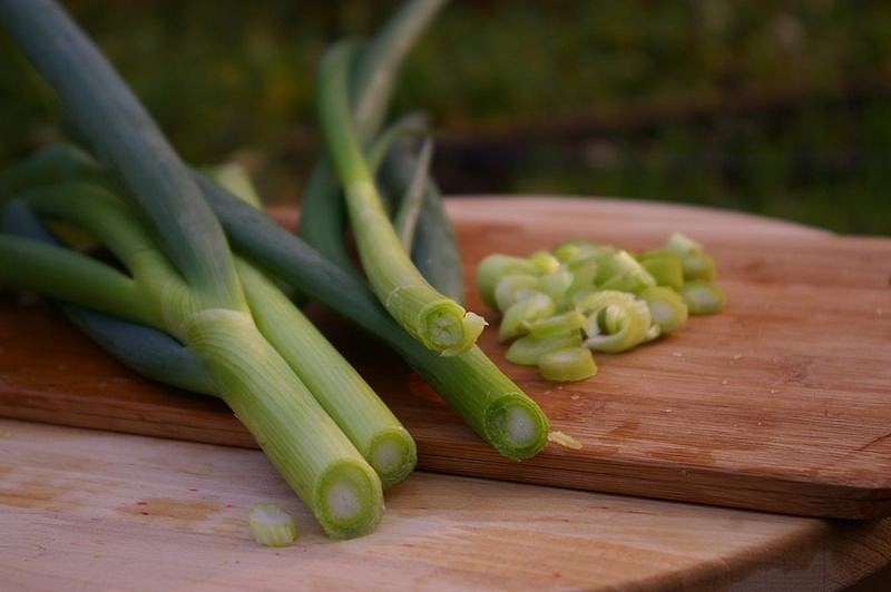 Партнер Лук батун ПЕРФОРМЕР ^(1г), изображение 1