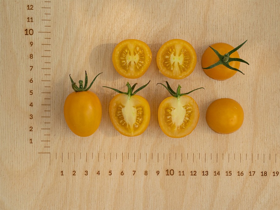 Партнер Томат ЧЕРРИСОФА F1 ^(5шт) 2-ной пак, изображение 4