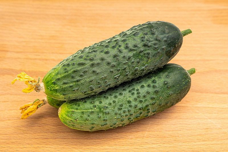 Партнер Огурец ДИРЕКТОР F1 ^(5шт), изображение 5