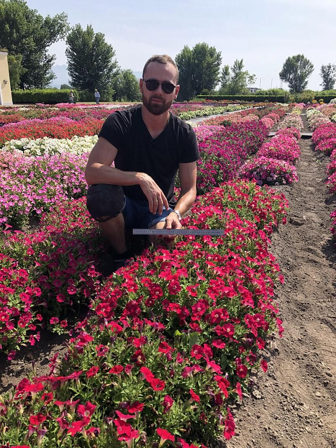 Партнер Петуния серия "Мими" ПАОЛА F1 / многоцветковая каскадная^(5шт в амп), изображение 3