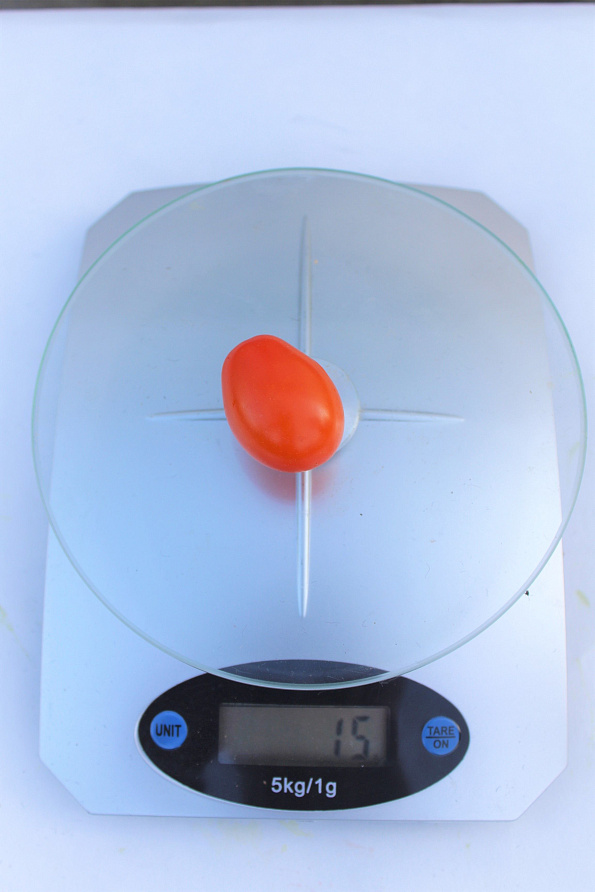 Партнер Томат Черри ЛЯ МУР F1 ^(5шт) 2-ной пак, изображение 2