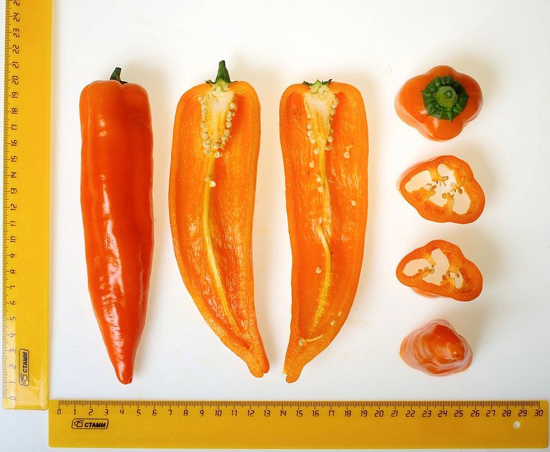 Партнер Перец ПИККАДИЛИ ^(0,25г) 2-ной пак, изображение 4