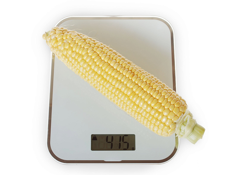 Партнер Кукуруза САММЕР СВИТ F1 ^(3г), изображение 4