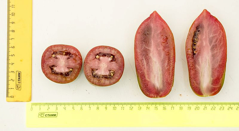 Партнер Томат БУРАЯ ГРОЗДЬ F1 ^(10шт) 2-ной пак, изображение 10