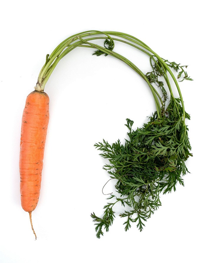 Партнер Морковь СТРАНА ЧУДЕС F1 ^(0,5г), изображение 3