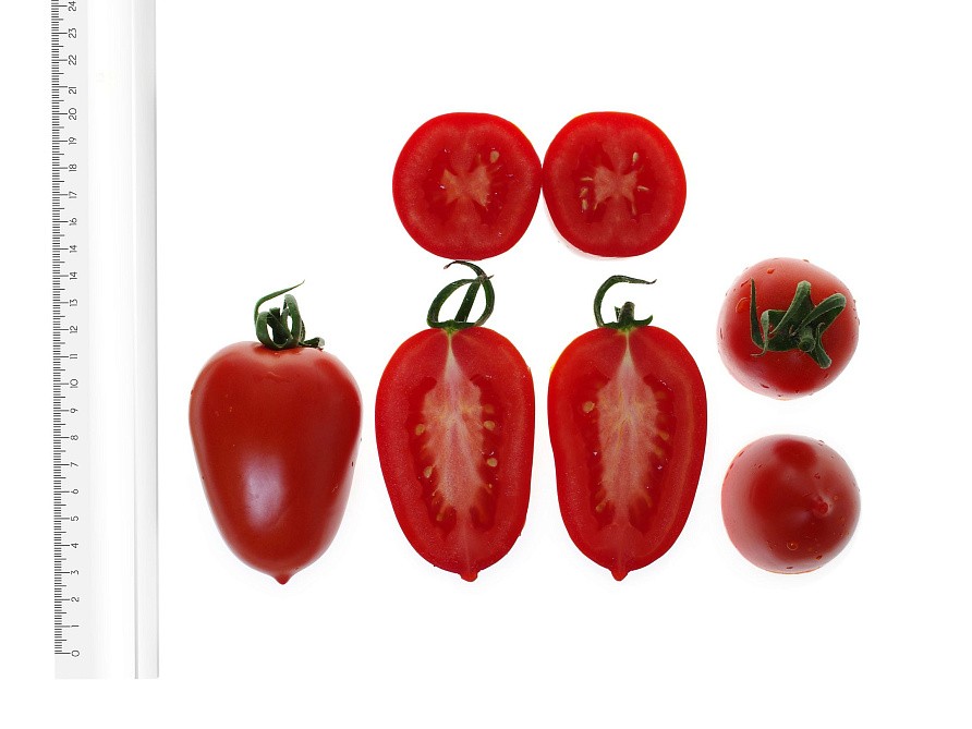 Партнер Томат МИЛЛЕНИУМ F1 ^(10шт) 2-ной пак, изображение 5