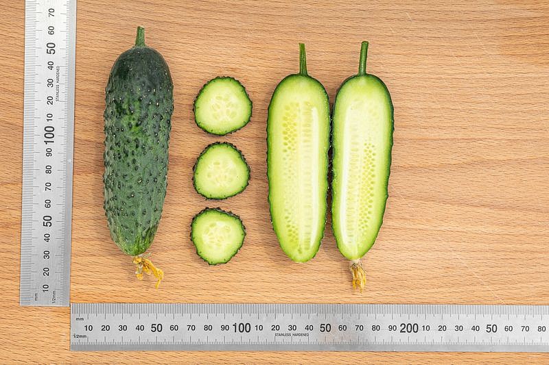 Партнер Огурец ДИРЕКТОР F1 ^(5шт), изображение 6