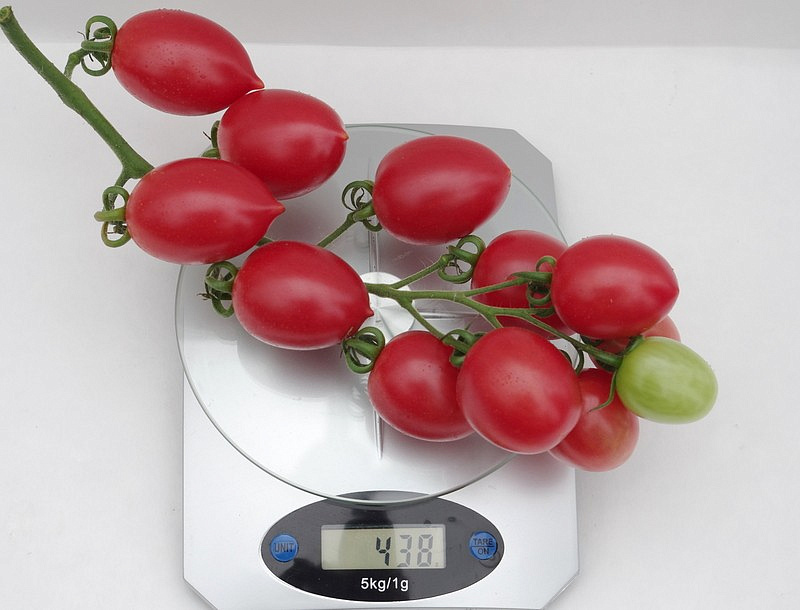 Партнер Томат МАЛИНОВОЕ ПЛАМЯ F1 ^(10шт) 2-ной пак, изображение 3