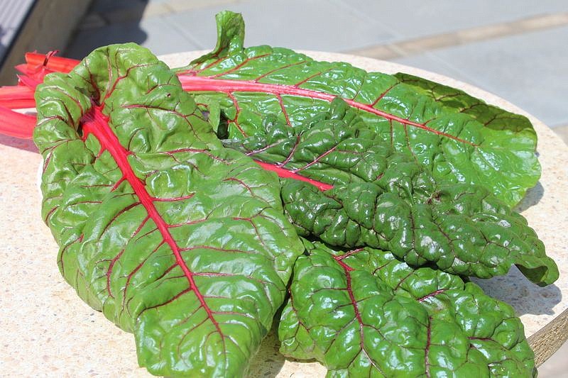 Партнер Мангольд КРАСНЫЙ ^(1г), изображение 1