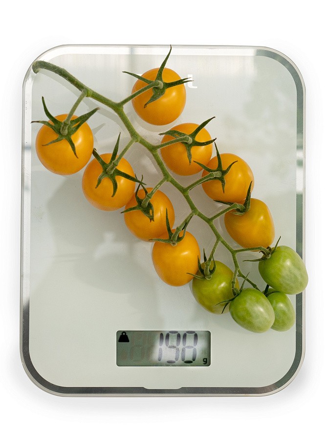 Партнер Томат ЧЕРРИСОФА F1 ^(5шт) 2-ной пак, изображение 5