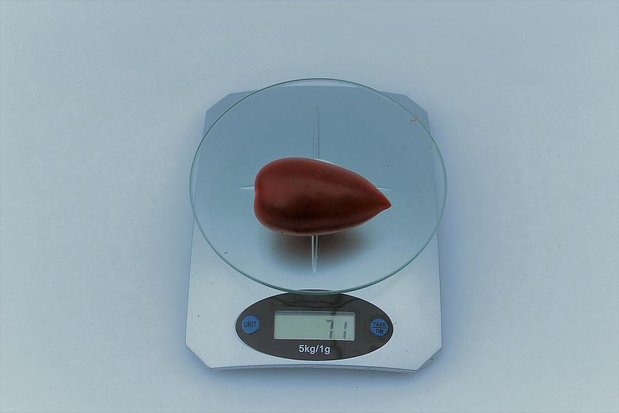 Партнер Томат БУРЫЙ САЛАДЕТ F1 ^(5шт) 2-ной пак, изображение 7