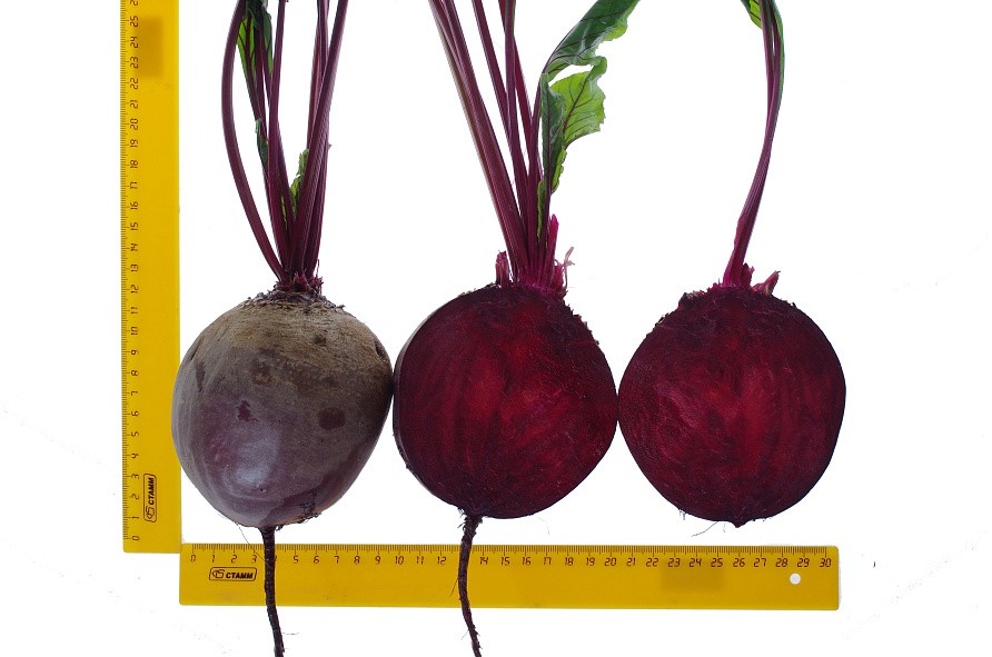 Партнер Свекла столовая ПАБЛО F1 ^(1г), изображение 2