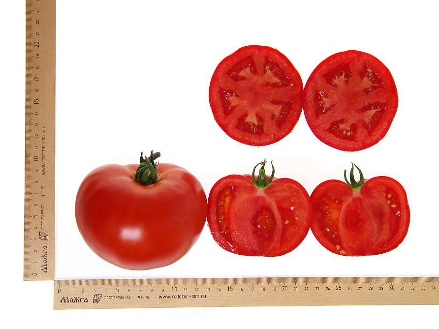 Партнер Томат МОМБАСА F1 ^(10шт) 2-ной пак, изображение 5