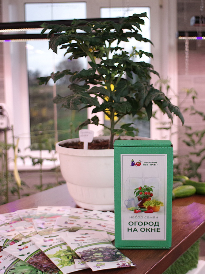 Подарочный набор «Огород на окне», изображение 2