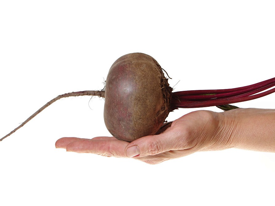 Партнер Свекла ЕГИПЕТСКАЯ ПЛОСКАЯ ^(3г), изображение 1