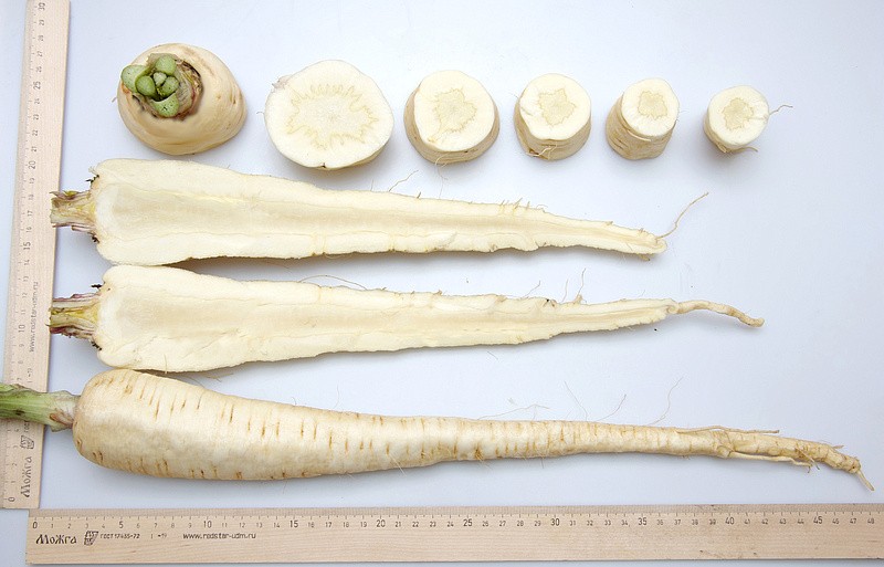 Партнер Пастернак ЛУЧШИЙ ИЗ ВСЕХ ^(1г), изображение 2